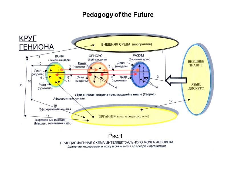 Pedagogy of the Future